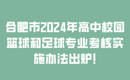 合肥市2024年高中