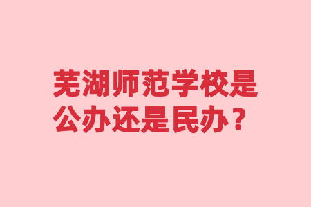 芜湖师范学校是公办还是民办？